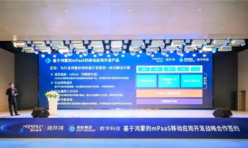 雙向奔赴，共創(chuàng)未來(lái) 螞蟻數(shù)科與潤(rùn)開鴻戰(zhàn)略合作，發(fā)布mPaaS移動(dòng)應(yīng)用開發(fā)產(chǎn)品，助力揚(yáng)州軟件產(chǎn)業(yè)發(fā)展