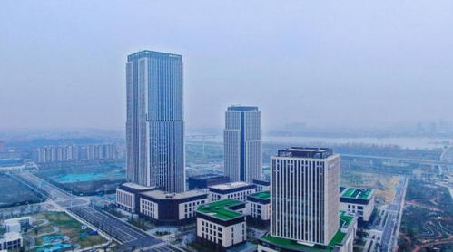 揚州生態科技新城三項目入選省重點清單，以軟件驅動“兩業融合”新篇章